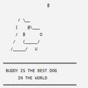 Buddy