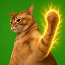 PAW