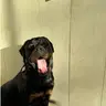 WISKY