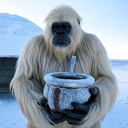 LocoBlanco