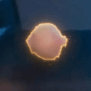 Onion