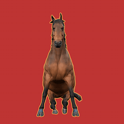 SHORSE