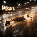 noodle