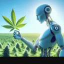 WEED