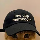 LCM