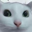 catz