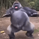 GROOVE