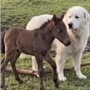 Teamwork