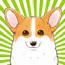 Kogikatsu