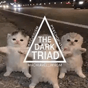 TRIAD