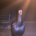 SCREMU