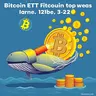 Btcwhl