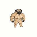 pug