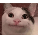 FCAT