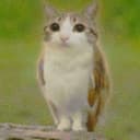 Meowl