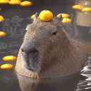 CAPY