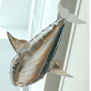 CUDDLEFISH