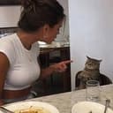 UNFAZEDCAT