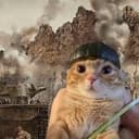 TCAT
