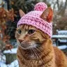 HOBBES