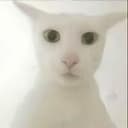 老吴