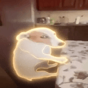 Gus