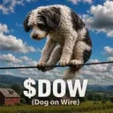 DOW