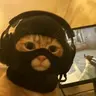CSGOCAT