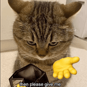 MONEYCAT