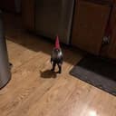 gnome