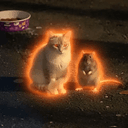 PROPHECY