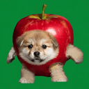 APPLEDOG