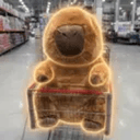 Capy
