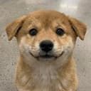 wuf