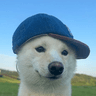 dogwifcap