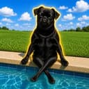 CHILLGUY