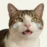 LMEOW
