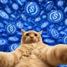 Selfiecat