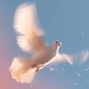 Dove
