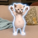 SNOWBALL
