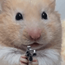 DOOPIR