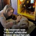 FDCAT
