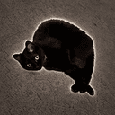 shrimpcat