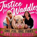 FORWADDLES