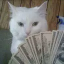 CASHCAT