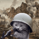 trenchcat