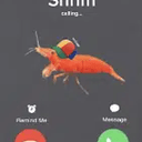 shrim