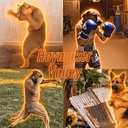 HAYMAKER