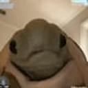 Tortuga
