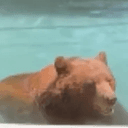 BIP